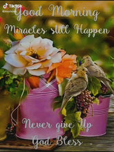 Load and play video in Gallery viewer, WATER DECALS -SMALL
