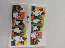 Load image into Gallery viewer, WATER DECALS -SMALL
